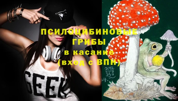 бошки Верхний Тагил