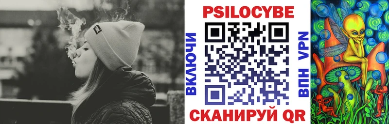 Псилоцибиновые грибы Psilocybe  Купить закладки  Шлиссельбург 